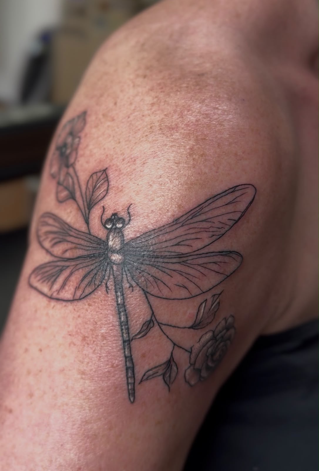 dragon-fly