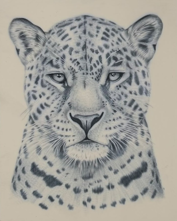 leopard